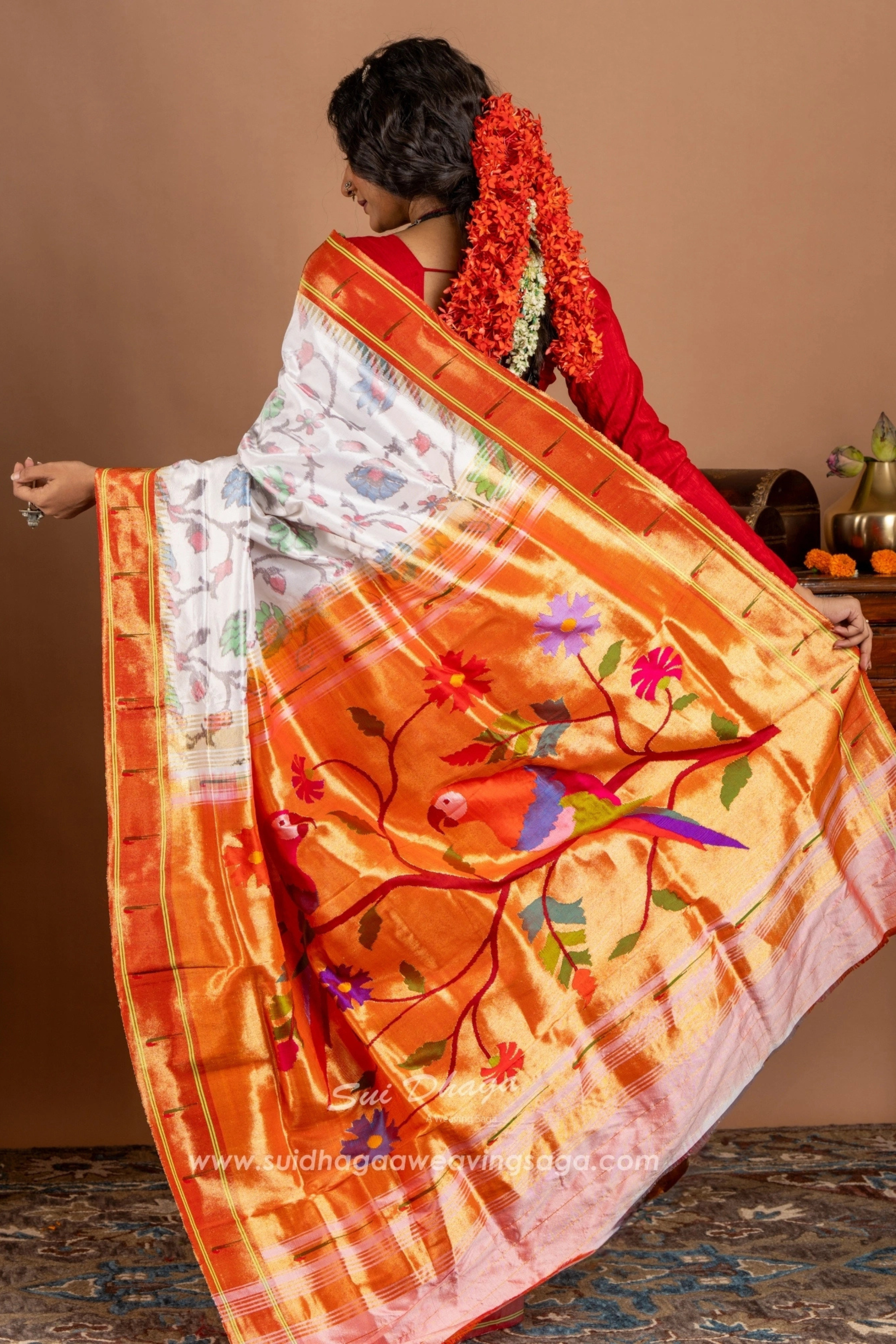 Pochampally Ikkat With Paithani Palla