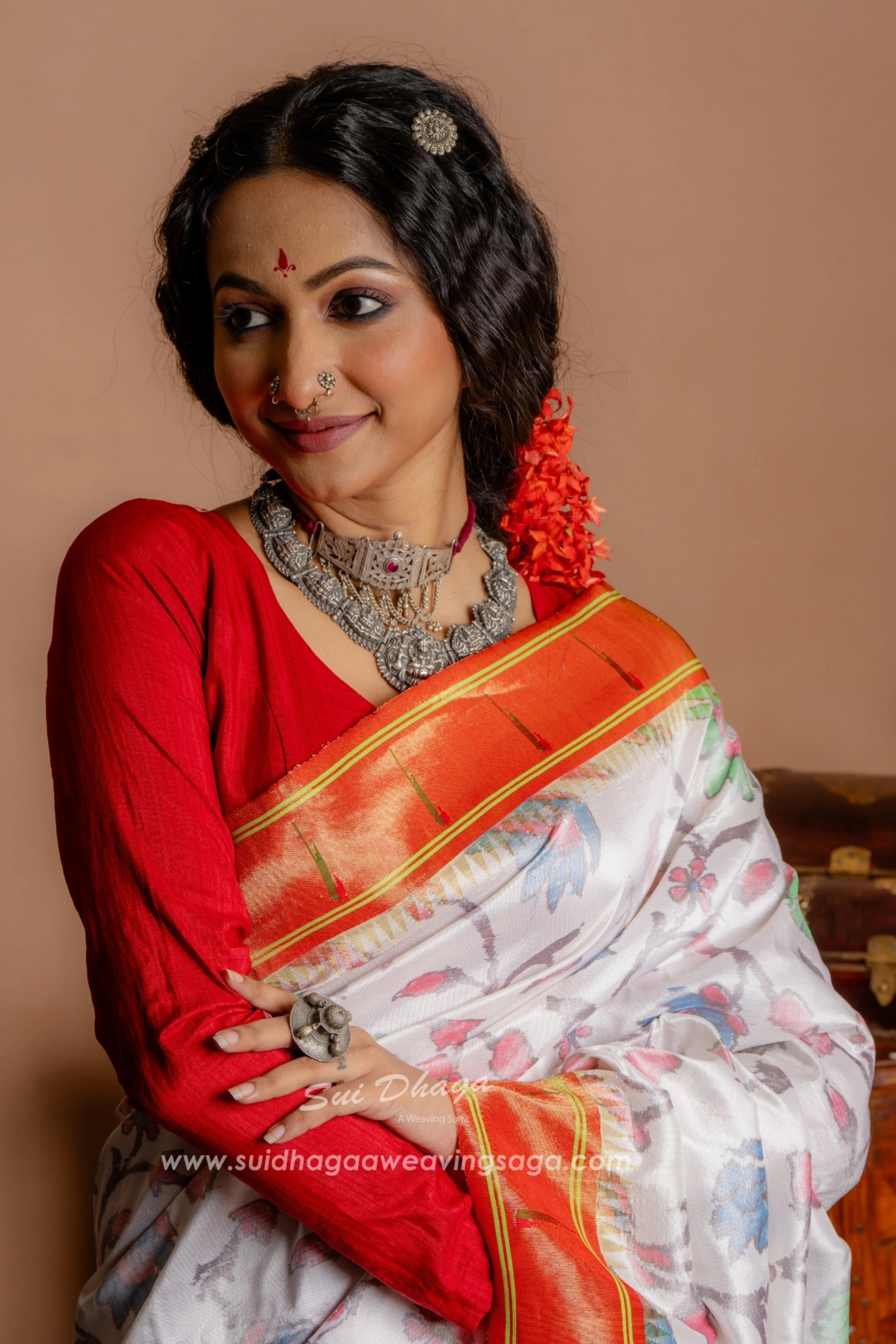 Pochampally Ikkat With Paithani Palla