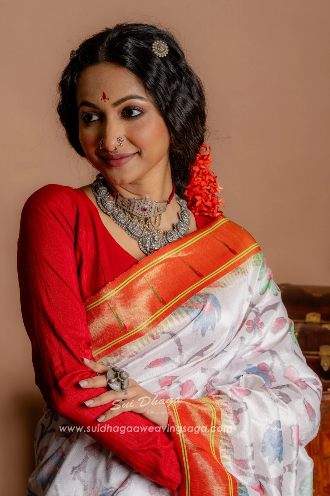Pochampally Ikkat With Paithani Palla